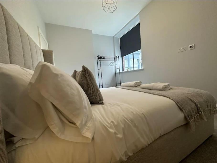 Superior Stay, Sophia Gardens, Centre And Stadium Sleeps 4 Apartment Cardiff